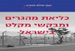 Yearly Detention Monitoring- 2015 Hebrew