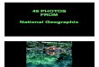 46 Photos From National Geographic Magazine.pdf