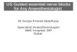 USG Guided  essential Nerve Blocks