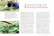 Farming in Tanzania