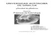 Manual de Embriologia