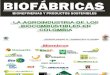 La Agroindustria de Los Biocombustibles en Colombia