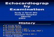 Echocardiography Examination