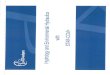 CD-Adapco - Hydrology and Environmetal Hydraulics