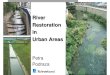 Urban river restoration