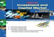 Investment and Capital Market