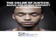 The Color of Justice Racial and Ethnic Disparity in State Prisons