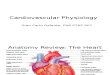 05 Cardiovascular System Physiology