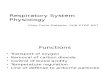 06 Respiratory System Physiology