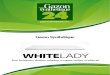 Gazon Synthetique White Lady - Gazonsynthetique24