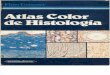 Atlas de Histologia_Geneser 1987