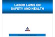 Labor Laws on Safety and Health - 39 Pages