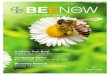 BEENOW the Bee Health Magazin