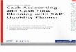 171282673 Sample SAP Liquidity Planner