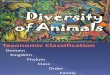 BIO 22 - Exercise 25 - Diversity of Animals (2)