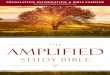 Amplified Study Bible Sampler