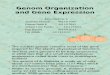 Kelompok 8 Genome Organization and Gene Expression