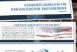 Financiamiento Financiero Informal