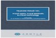 Telecom Fraud 101 eBook