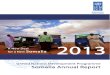UNDP Somalia Annual Report 2013