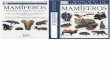 Animales - Manual de Identificacion de Mamiferos.pdf