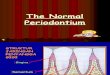 1.the Normal Periodontium