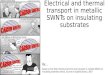 Eric Pop’s Electrical and thermal transport in metallic SWNTs  review