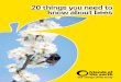 20 Things You Need Know About Bees Booklet