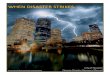 Finance Disaster Handbook