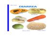 [eBook]Diarrea - Tratamiento Natural Alimenticio