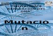 91576427 Mutaciones Causas y Mecanismos y Reparacion Del Dna Final