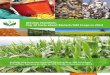 Beyond Promises: Top 10 Facts about Biotech/GM Crops in 2014