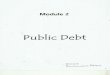 Module 2 Public Debt