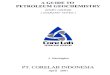 A Guide qqto Petroleum Geochemistry CoreLab2001