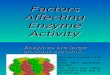 51144635 Factors Affecting Enzyme Activity