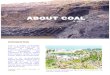About Coal - Copy