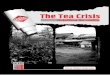 The Tea Crisis-Unfolding the Reality