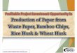 Profitable Project Investment Opportunity in Production of Paper From Waste Paper, Bamboo Chips, Rice Husk & Wheat Husk