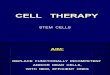 Cell Therapy-seminar 2014 May