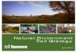 The City of Toronto’s Natural Environment Trail Strategy (2013)