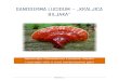 Ganoderma lucidum_gljiva.pdf