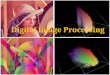 Introduction of Digital Image Processing