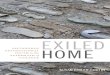 Exiled Home by Susan Bibler Coutin