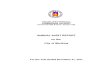 Marikina City Audit Report