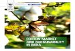Cotton Market and Sustainability in India