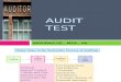 CH 11 Audit test.ppt