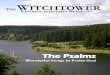 Witchtower: June 1, 2009 - The Psalms
