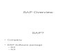 SAP Overview - Unknown