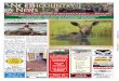 Northcountry News 7-31-15.pdf