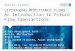 Leveraging Remittance Flows: An Introduction to Future Flow Transactions